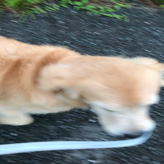 動画1