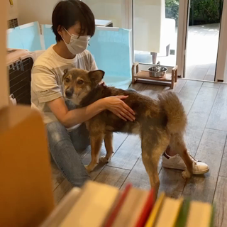 動画1