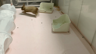 動画1
