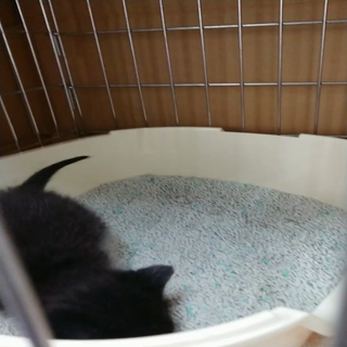 動画1