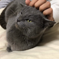 動画1