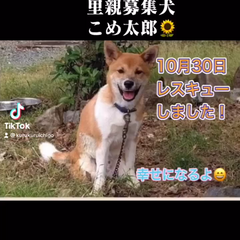 動画1