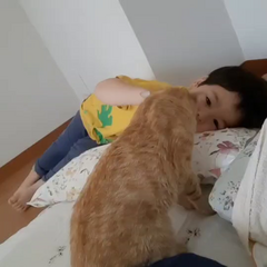 動画1