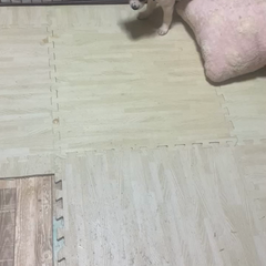 動画1