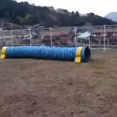 動画1