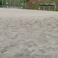 動画1