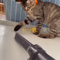 動画1