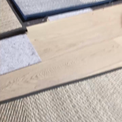 動画1