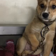 動画1