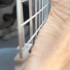 動画1