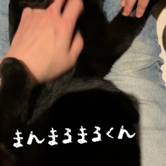 動画1