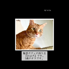 動画1