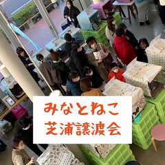 動画1