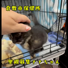 動画1