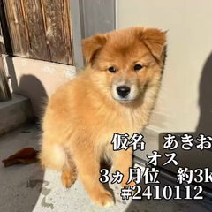 動画1