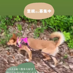 動画1