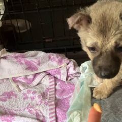 動画1
