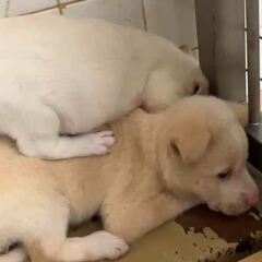 動画1
