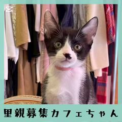 動画1