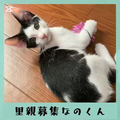 動画1