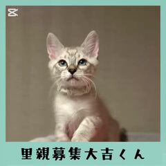 動画1