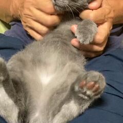 動画1