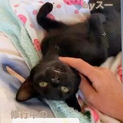 動画1