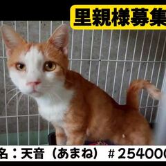 動画1