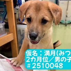 動画1