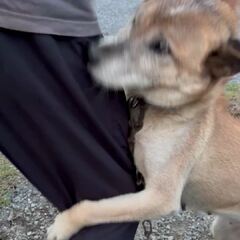 動画1