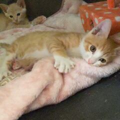 動画1