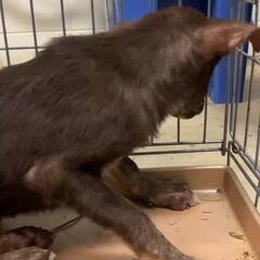 動画1