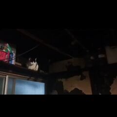 動画1