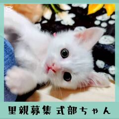 動画1