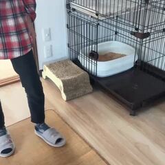 動画1