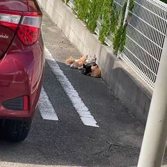 動画1