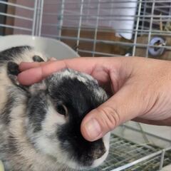 動画1