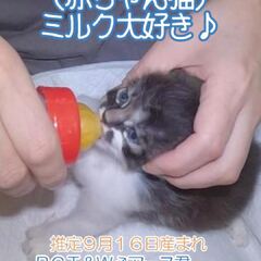 動画1
