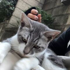 動画1