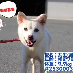 動画1