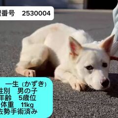 動画1