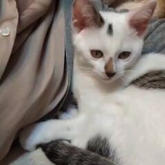 動画1