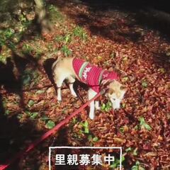 動画1