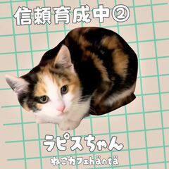 動画1