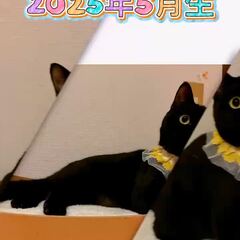 動画1