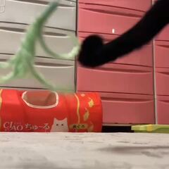 動画1