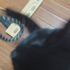 動画1