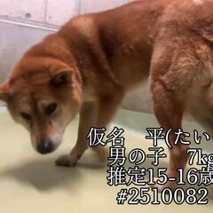 動画1