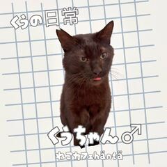動画1