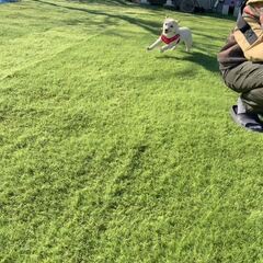 動画1